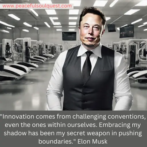 Elon Musk Shadow Quote