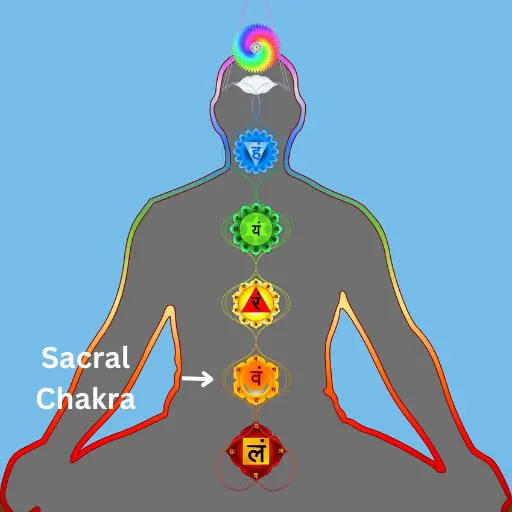 Sacral Chakra