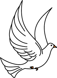 Dove Female strength symbol